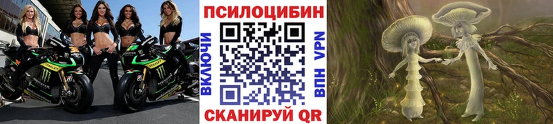 сколько стоит  мега зеркало  Галлюциногенные грибы Psilocybe  Сельцо 