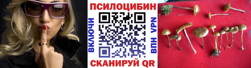 Галлюциногенные грибы ЛСД Сельцо